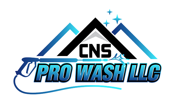 CNS PRO WASH Logo