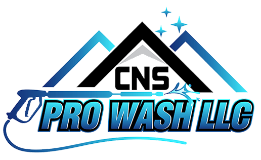 CNS PRO WASH Logo
